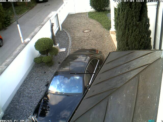 Camera Live Image